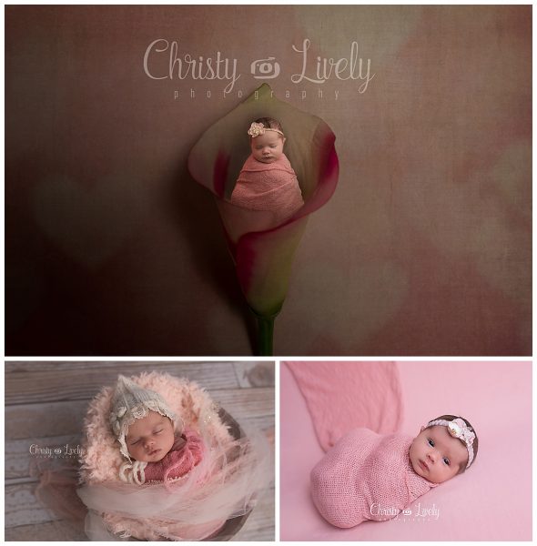 Christy Lively Photography Wedding photography Newborn, Maternity Evansville-Newburgh Indiana Photography Newborn photography Evansville-Newburgh Indiana