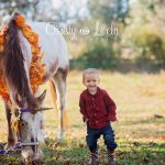 Unicorn Newburgh Evansville Christy Lively Photography Child photographer Indiana