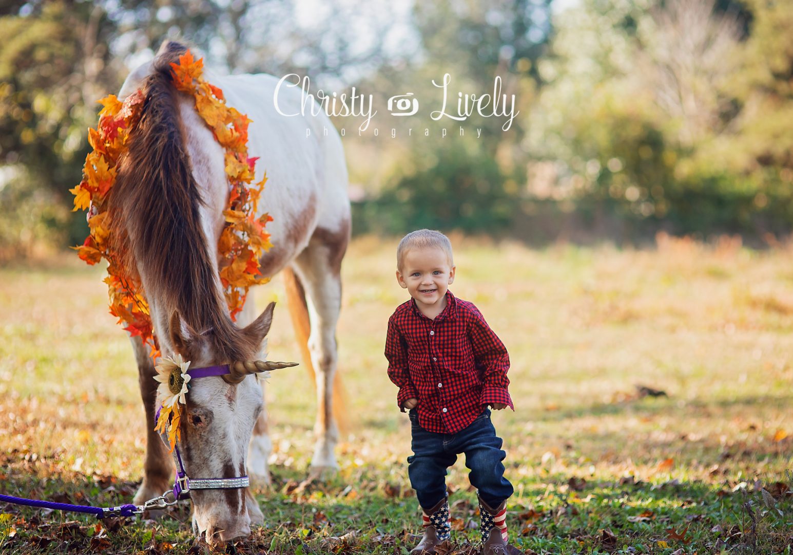 Unicorn Newburgh Evansville Christy Lively Photography Child photographer Indiana