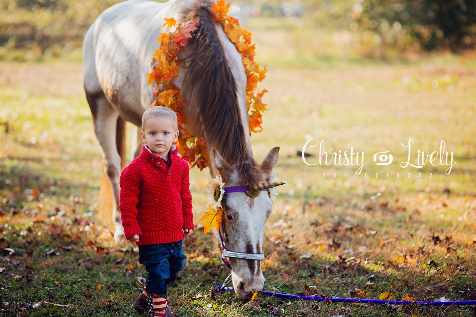 Unicorn Newburgh Evansville Christy Lively Photography Child photographer Indiana