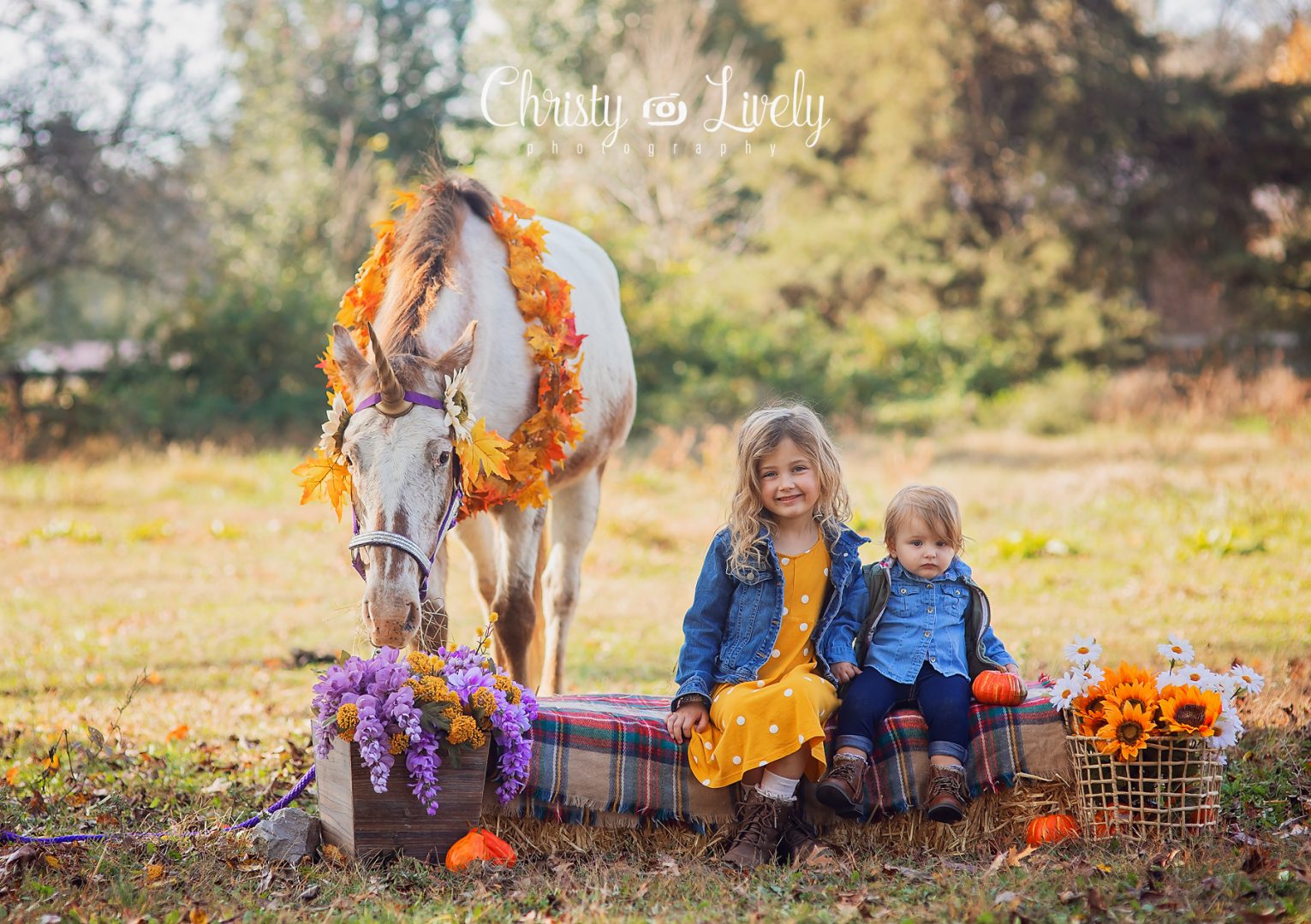 Unicorn Newburgh Evansville Christy Lively Photography Child photographer Indiana