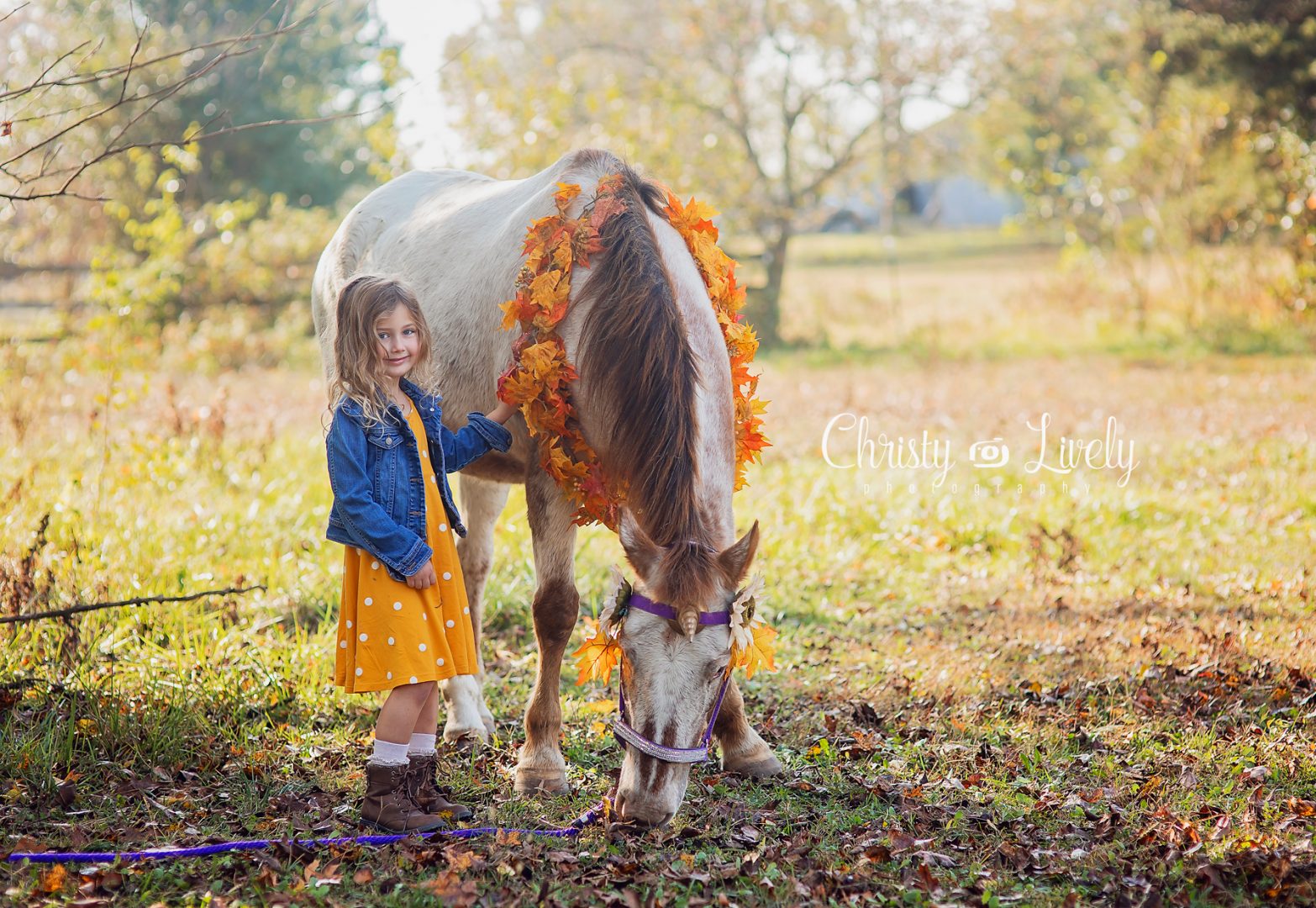 Unicorn Newburgh Evansville Christy Lively Photography Child photographer Indiana