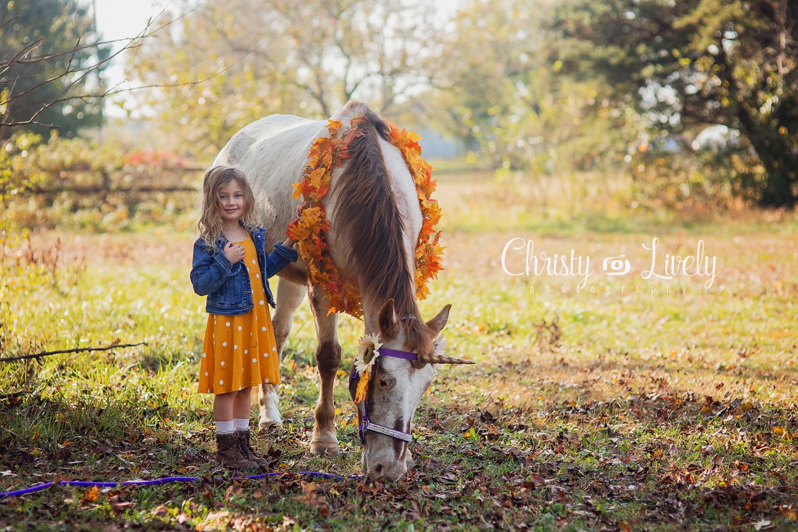 Unicorn Newburgh Evansville Christy Lively Photography Child photographer Indiana