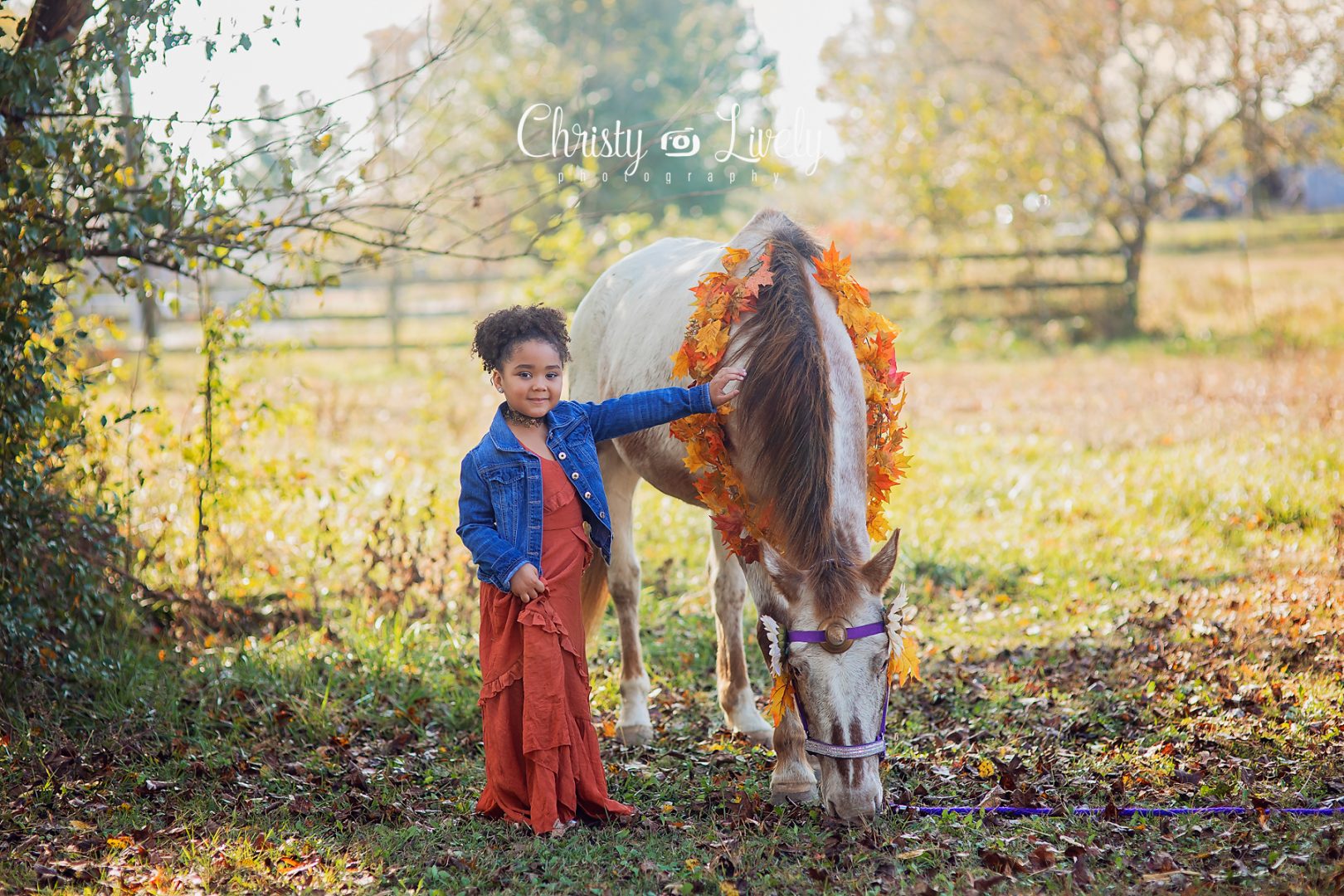 Unicorn Newburgh Evansville Christy Lively Photography Child photographer Indiana