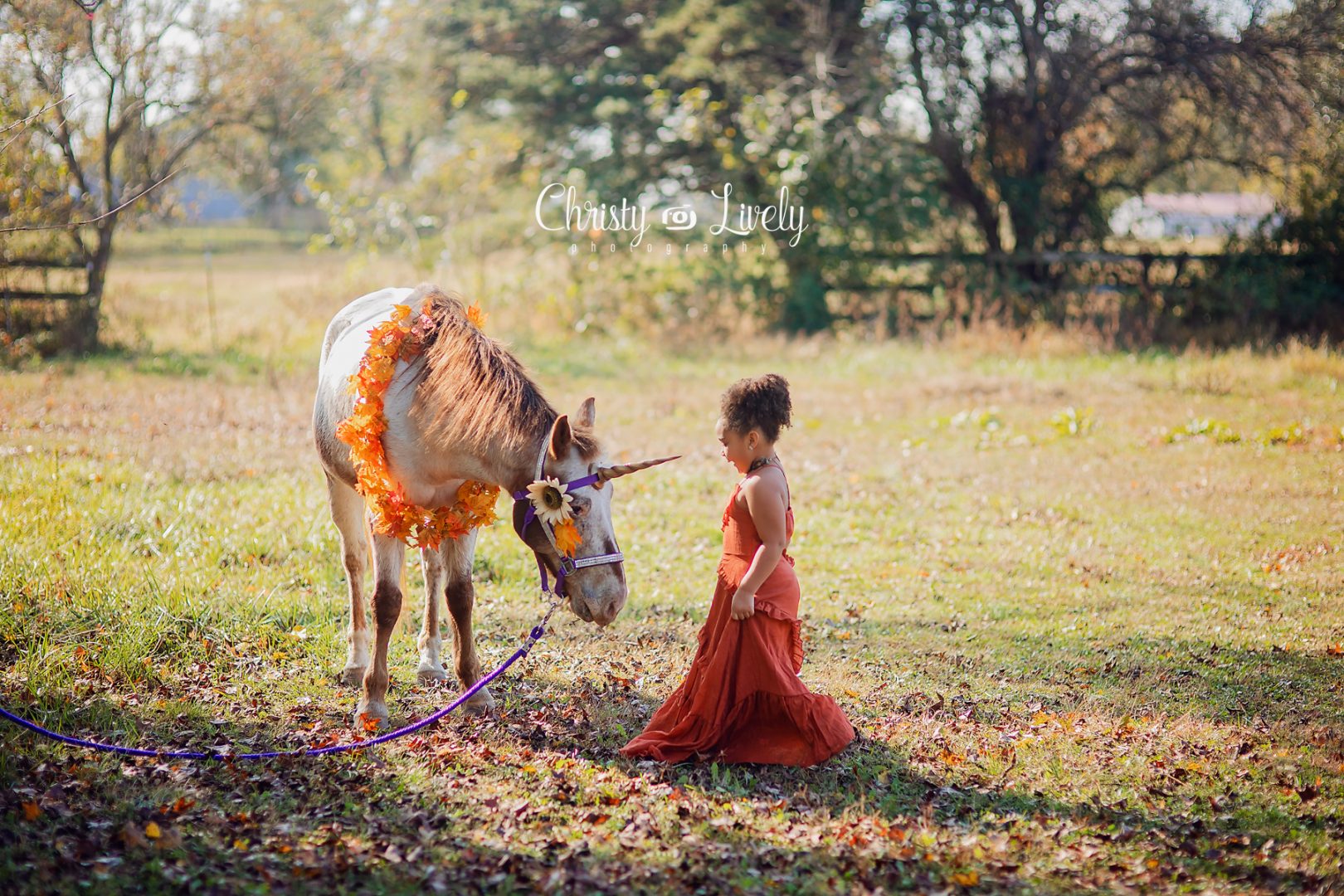 Unicorn Newburgh Evansville Christy Lively Photography Child photographer Indiana