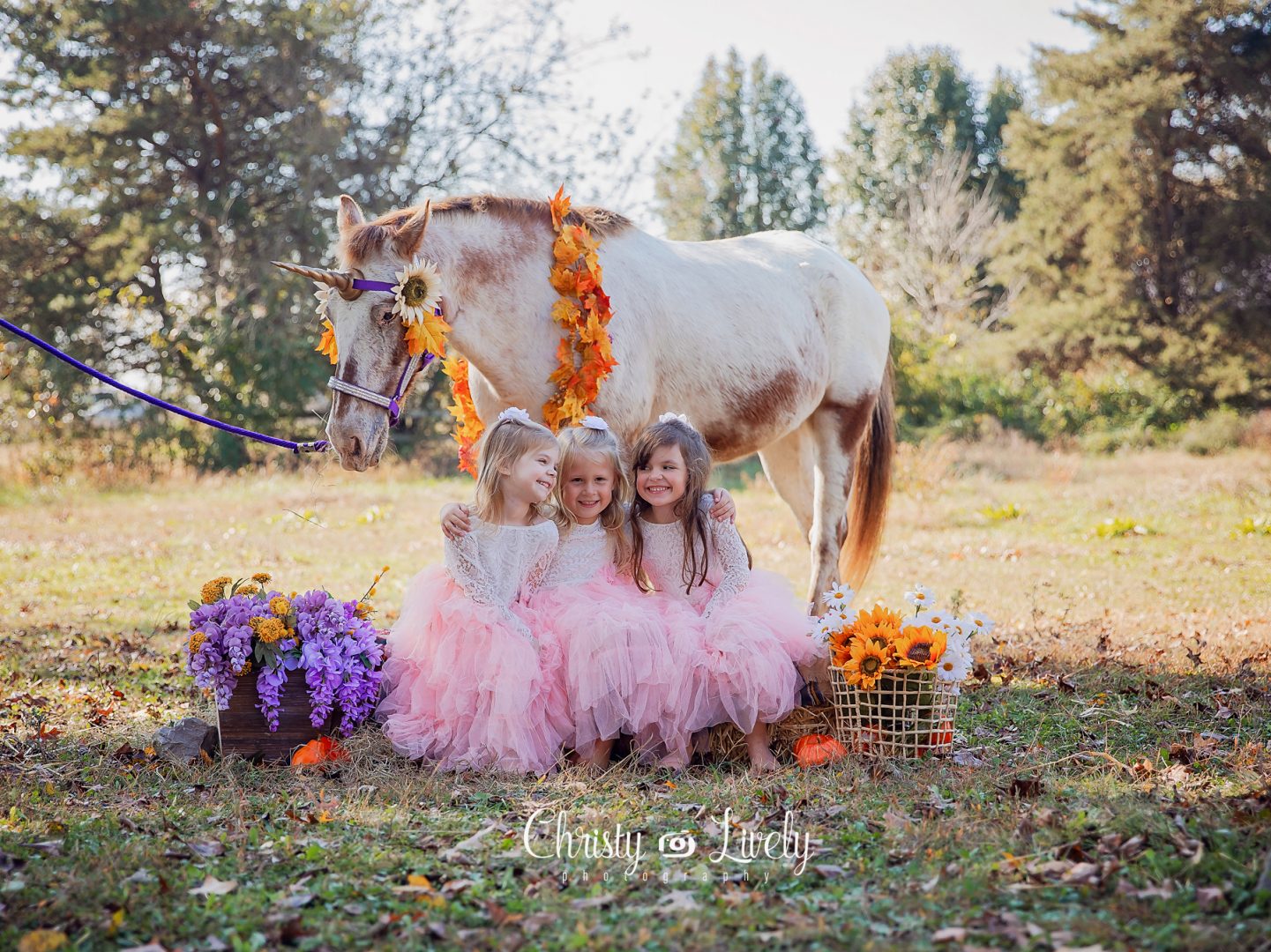 Unicorn Newburgh Evansville Christy Lively Photography Child photographer Indiana