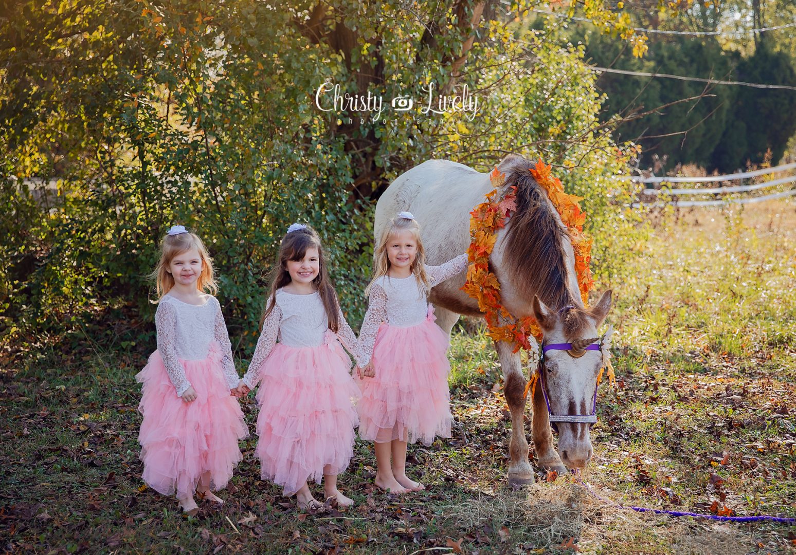 Unicorn Newburgh Evansville Christy Lively Photography Child photographer Indiana