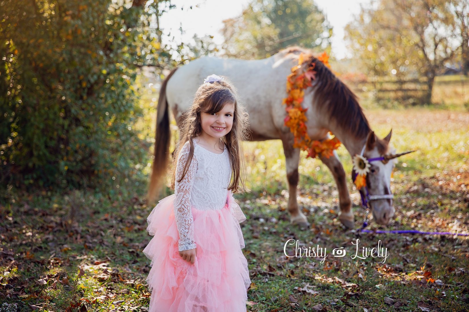 Unicorn Newburgh Evansville Christy Lively Photography Child photographer Indiana