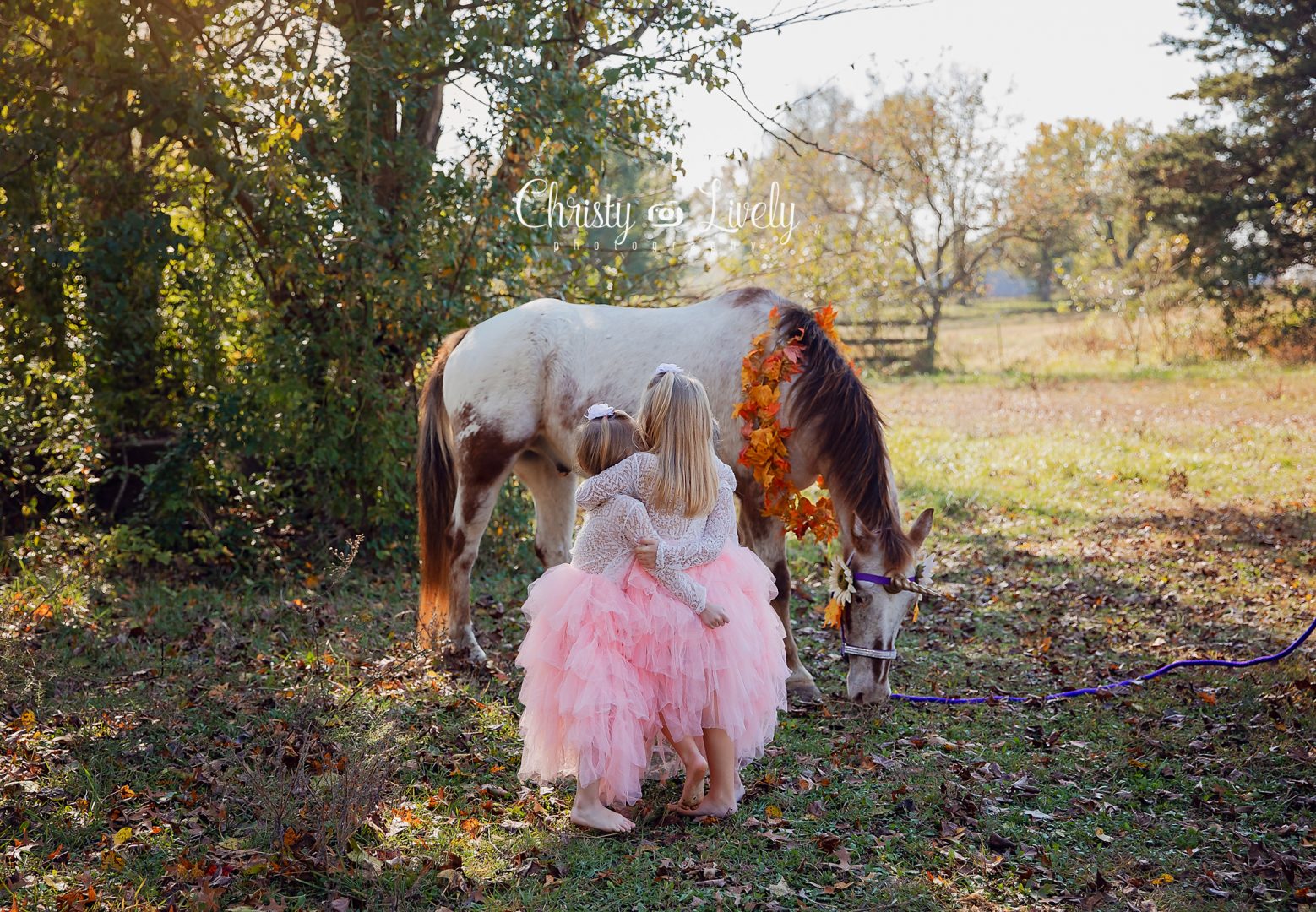 Unicorn Newburgh Evansville Christy Lively Photography Child photographer Indiana