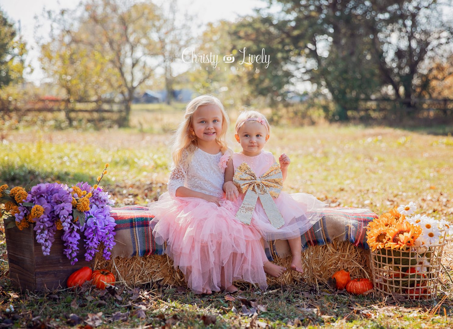 Unicorn Newburgh Evansville Christy Lively Photography Child photographer Indiana