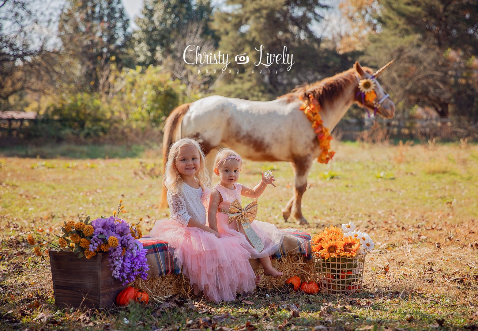 Unicorn Newburgh Evansville Christy Lively Photography Child photographer Indiana