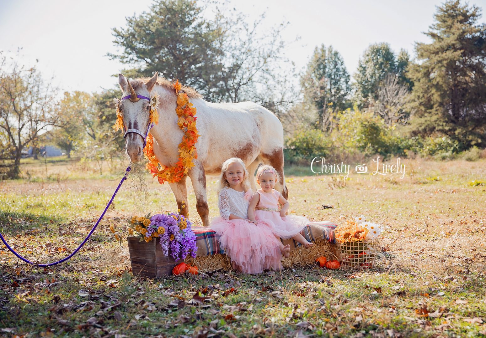 Unicorn Newburgh Evansville Christy Lively Photography Child photographer Indiana