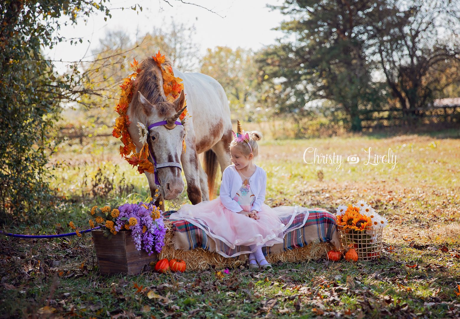 Unicorn Newburgh Evansville Christy Lively Photography Child photographer Indiana