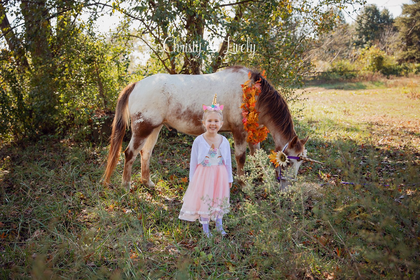 Unicorn Newburgh Evansville Christy Lively Photography Child photographer Indiana