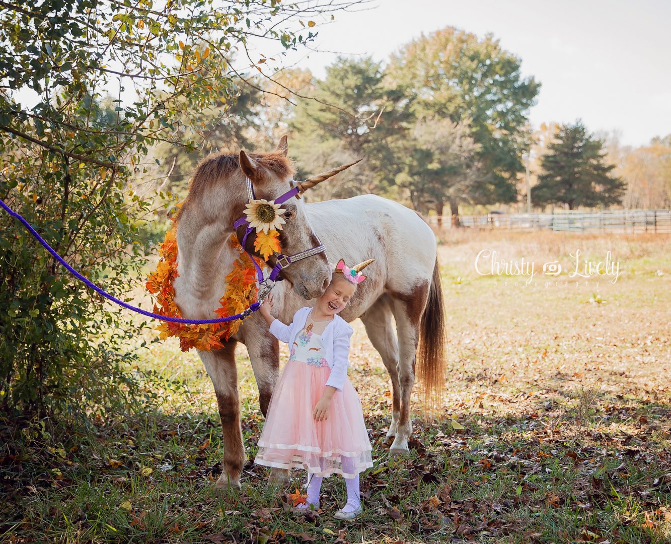 Unicorn Newburgh Evansville Christy Lively Photography Child photographer Indiana