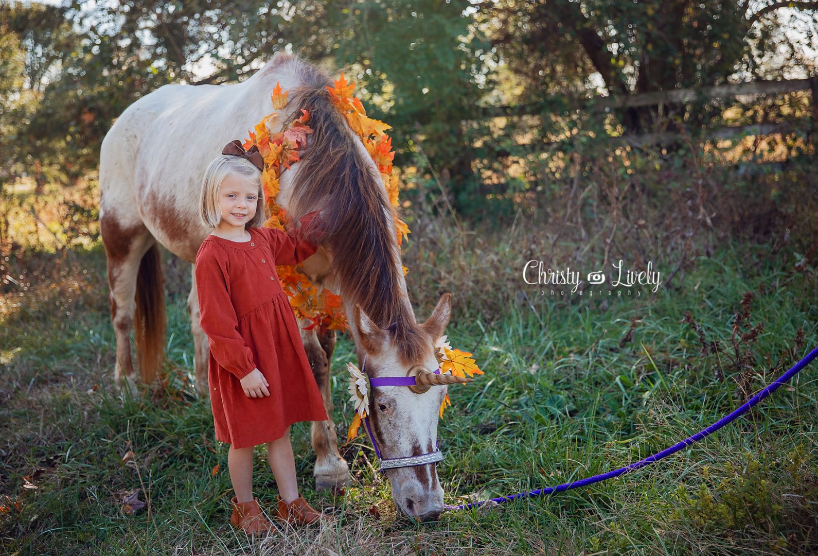 Unicorn Newburgh Evansville Christy Lively Photography Child photographer Indiana