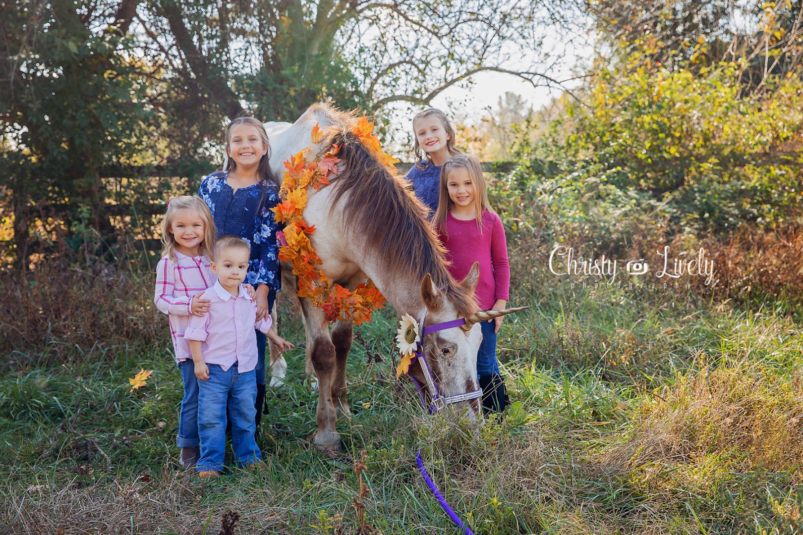 Unicorn Newburgh Evansville Christy Lively Photography Child photographer Indiana