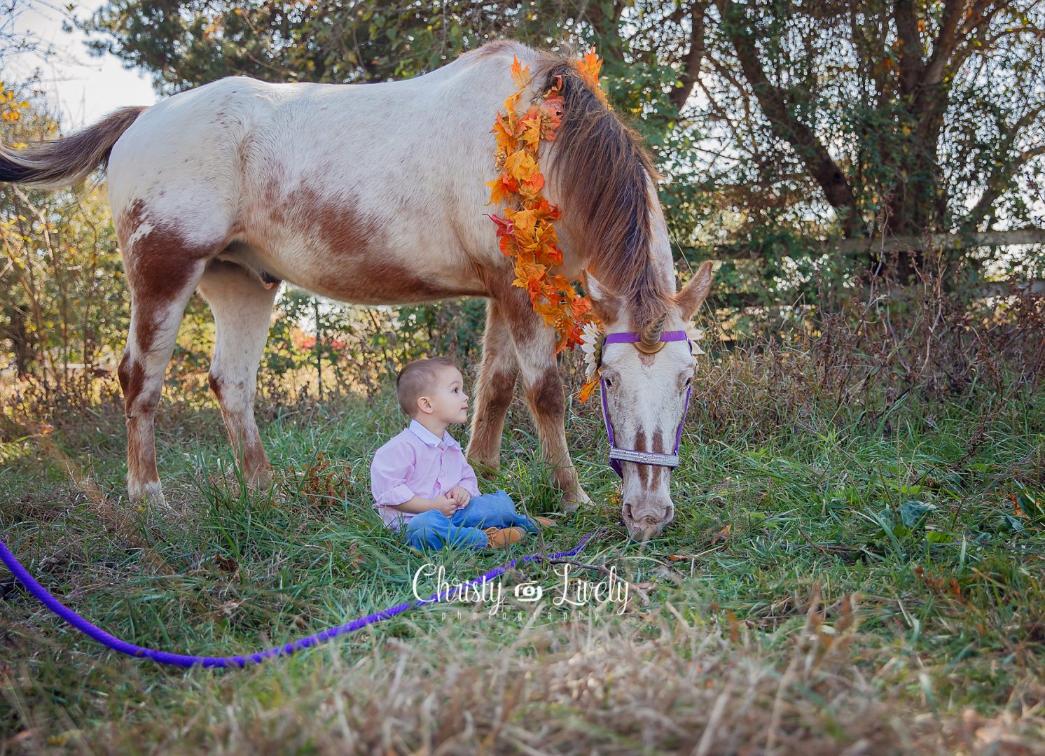 Unicorn Newburgh Evansville Christy Lively Photography Child photographer Indiana