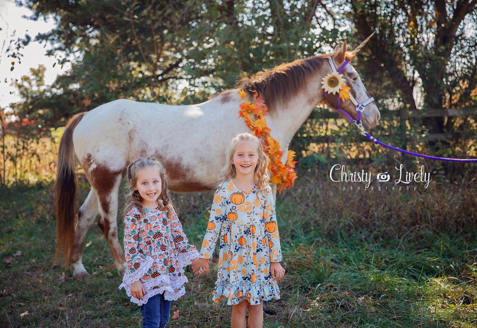 Unicorn Newburgh Evansville Christy Lively Photography Child photographer Indiana