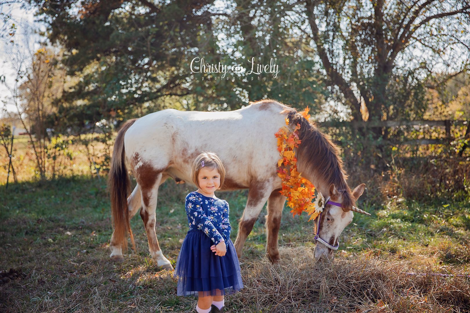 Unicorn Newburgh Evansville Christy Lively Photography Child photographer Indiana